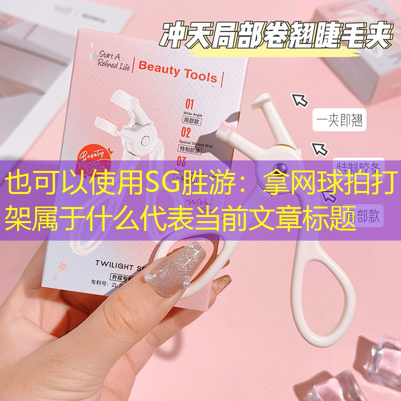 拿网球拍打架属于什么