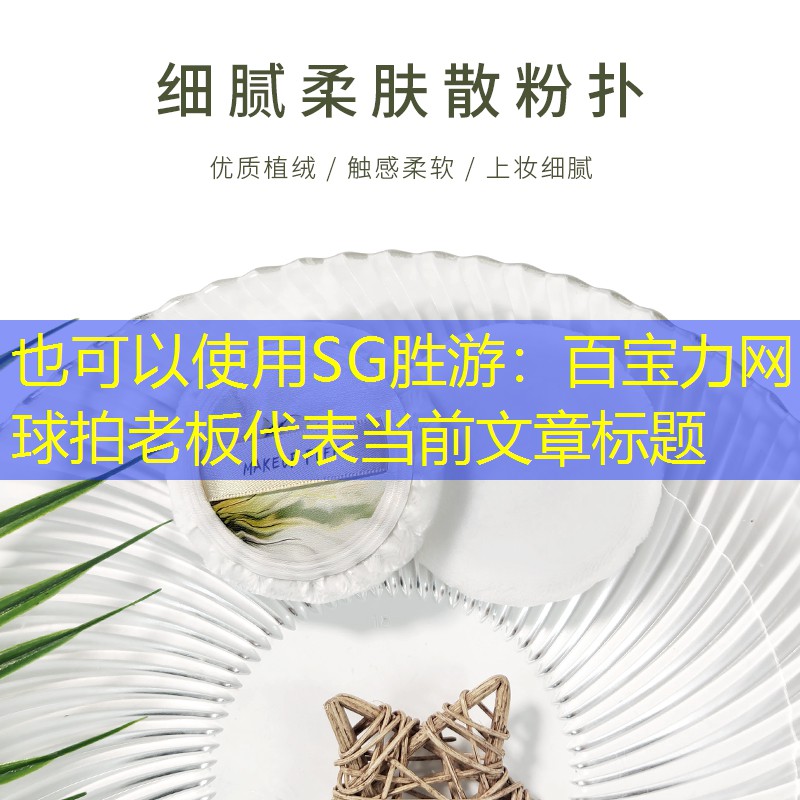 SG胜游：百宝力网球拍老板